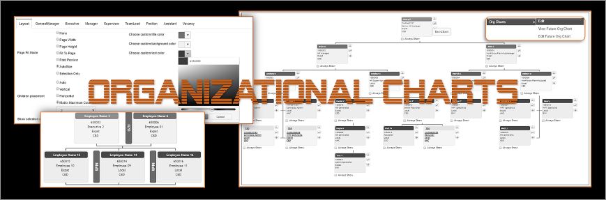 Organizational Charts